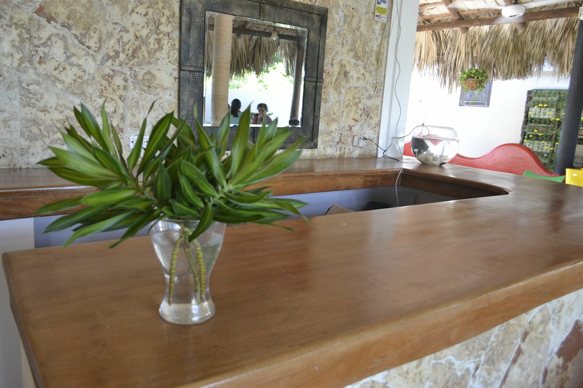 Guesthouse Caribe Punta Cana Баваро Екстер'єр фото