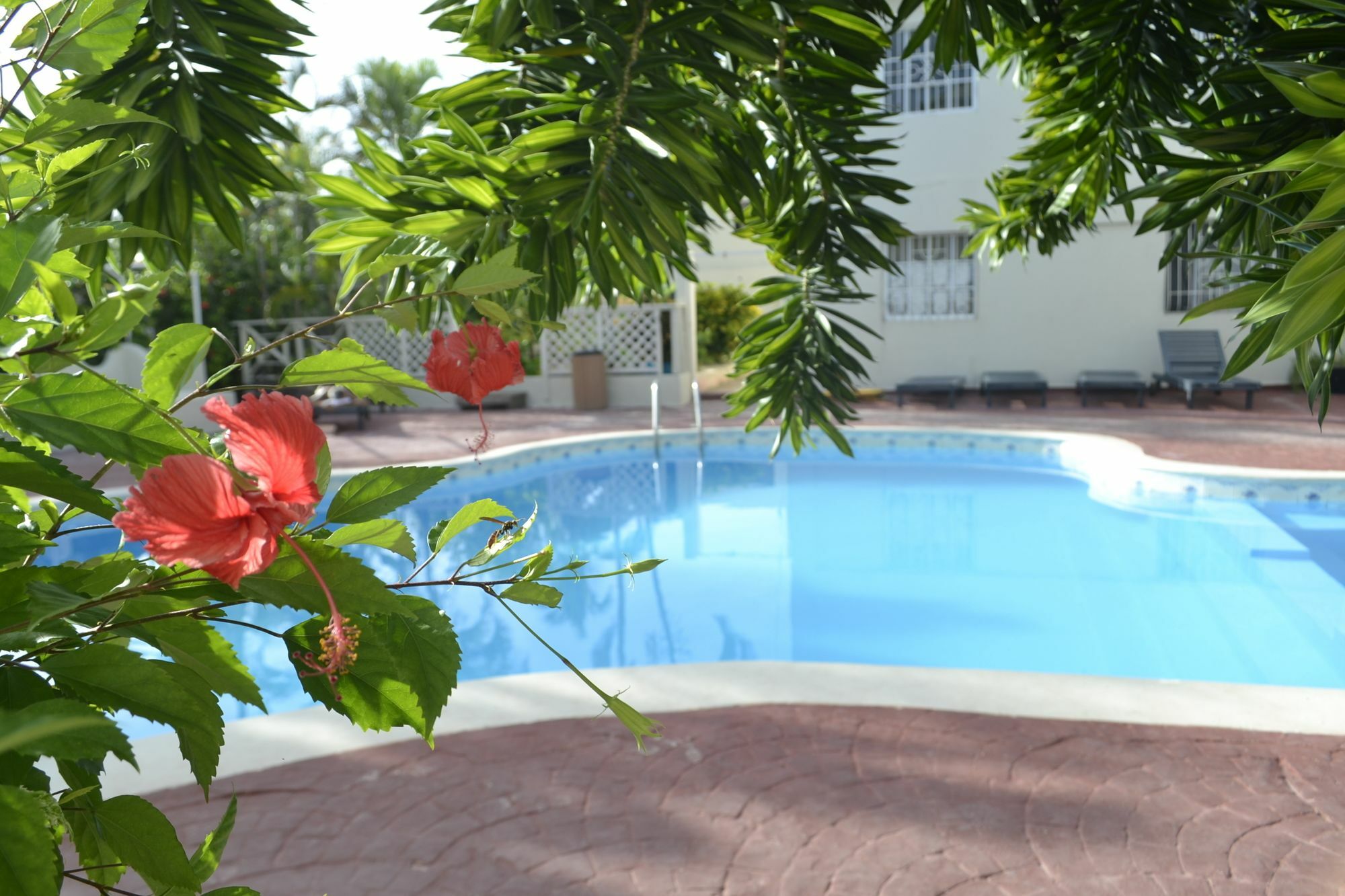 Guesthouse Caribe Punta Cana Баваро Екстер'єр фото